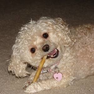 Meet your Posher, Missie